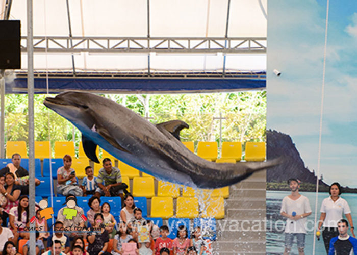 โชว์ปลาโลมาภูเก็ต Phuket Dolphin Show